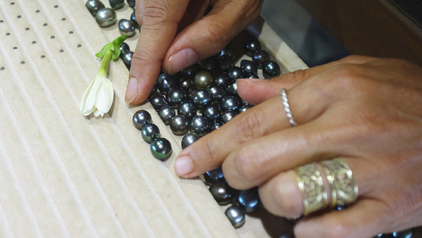 Pearls in Paradise: An Eco-Friendly Polynesian Pearl Farm